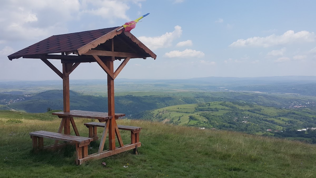 Dealul Runcu - foto 3