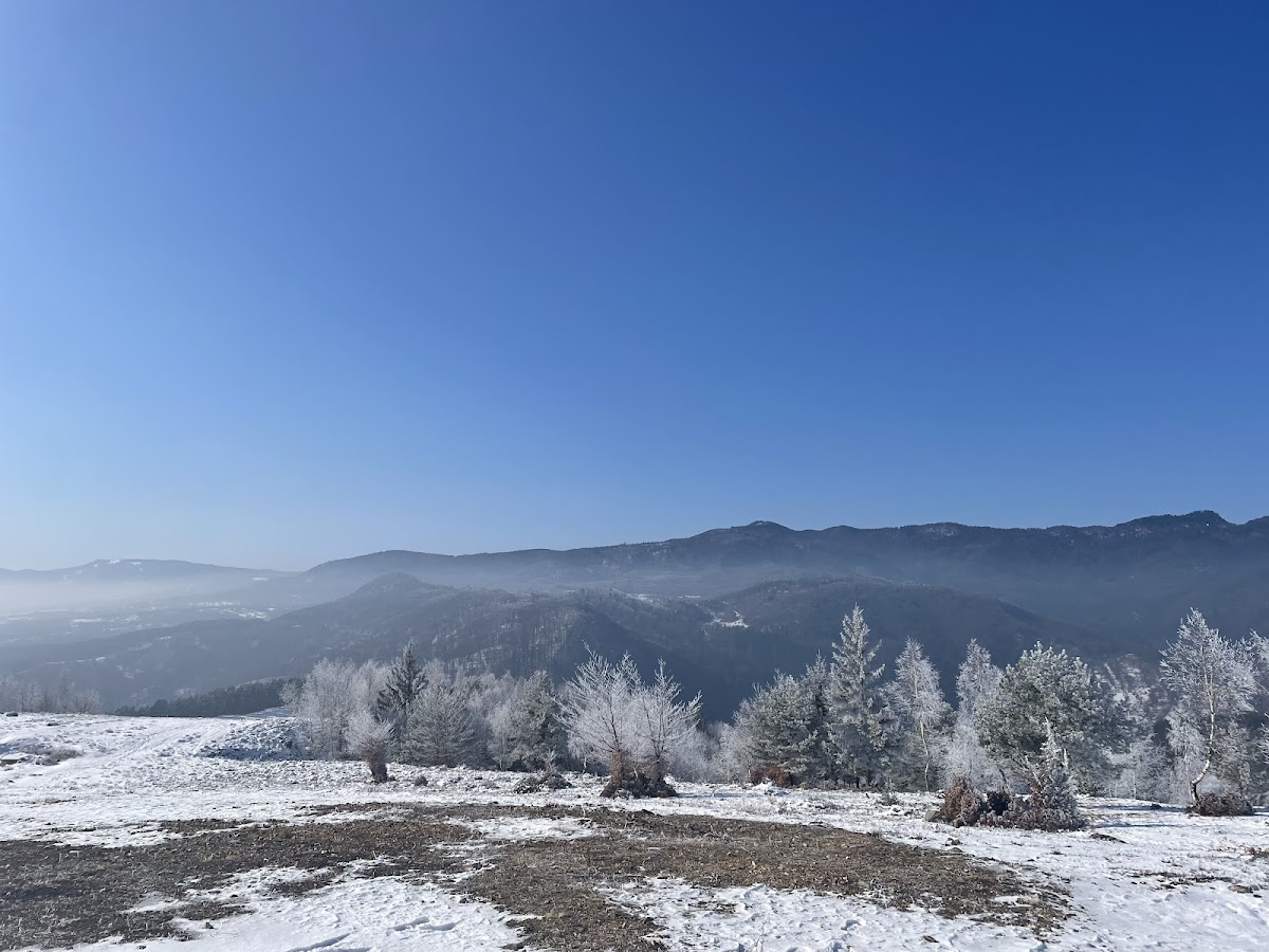 Dealul Runcu - foto 4