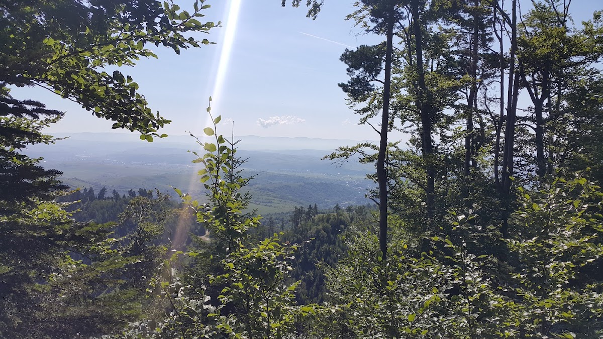 Dealul Runcu - foto 5