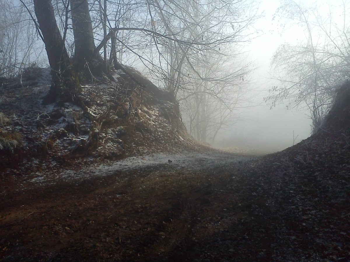 Dealul Sinoiu - foto 2