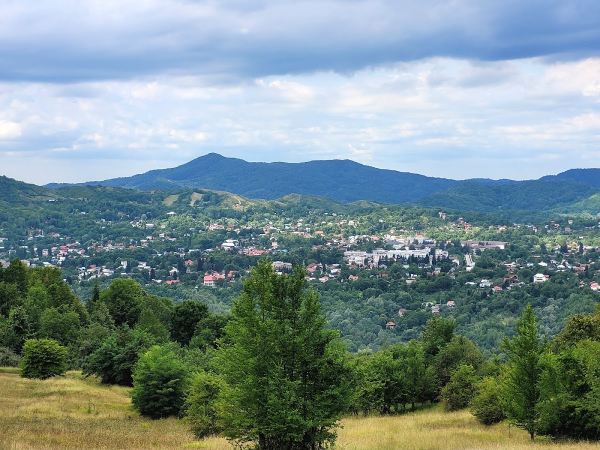 Dealul Sinoiu - foto 3
