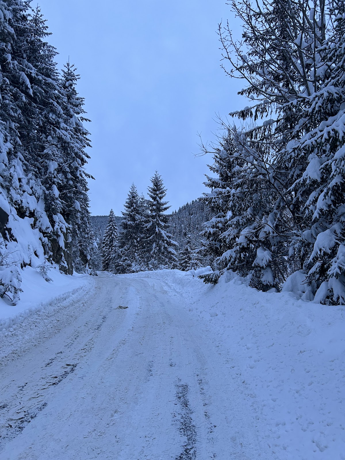 Defileul Someșului Rece - foto 2