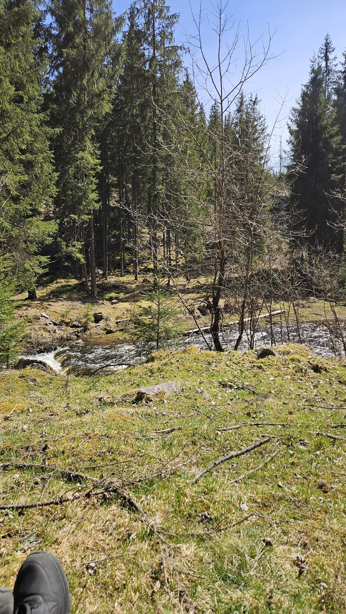Defileul Someșului Rece - foto 4