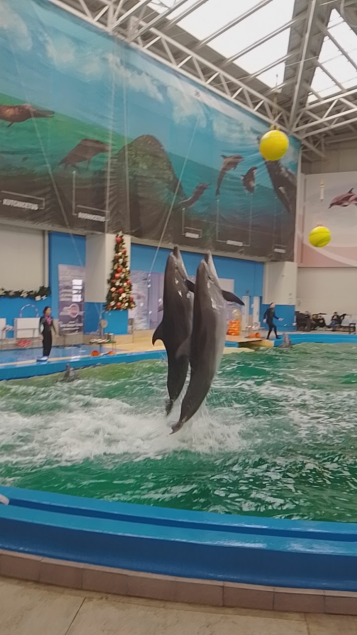 Delfinariu Constanta - foto 3