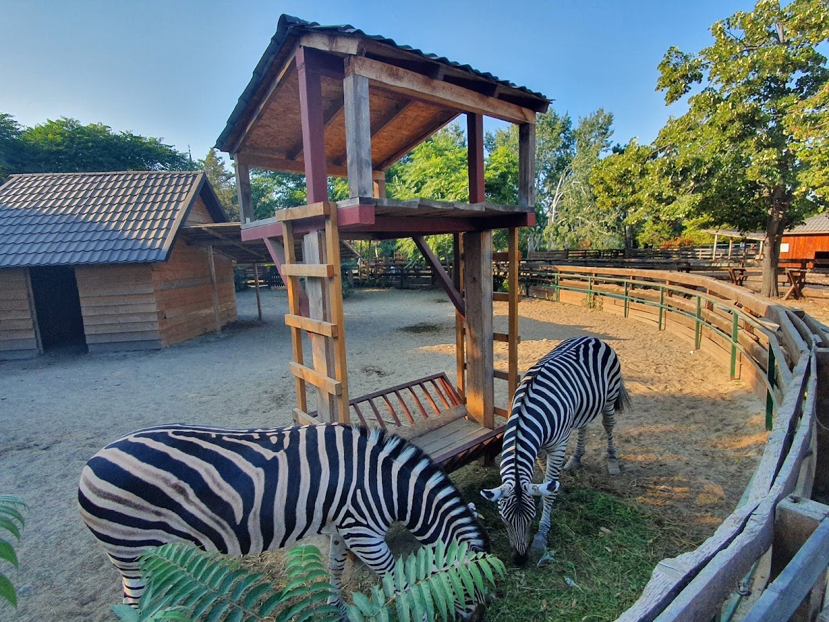 Delfinariu Constanta - foto 4