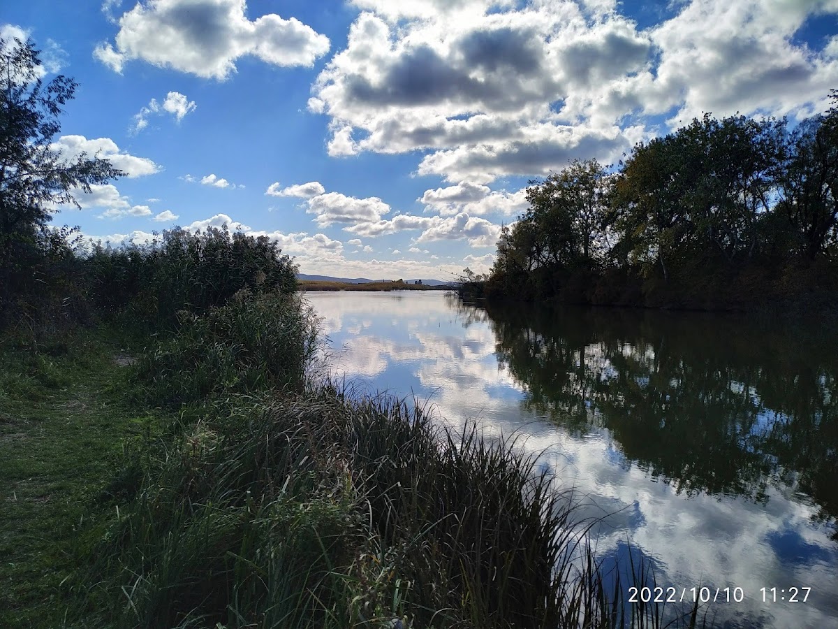 Bacău Delta