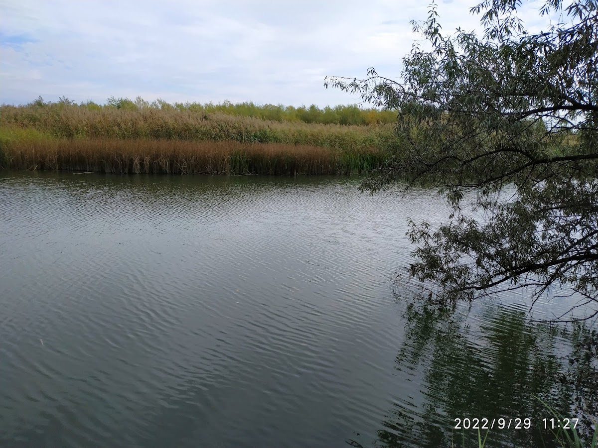 Delta Bacăului - foto 2
