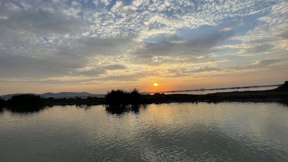 Danube Delta - foto 1