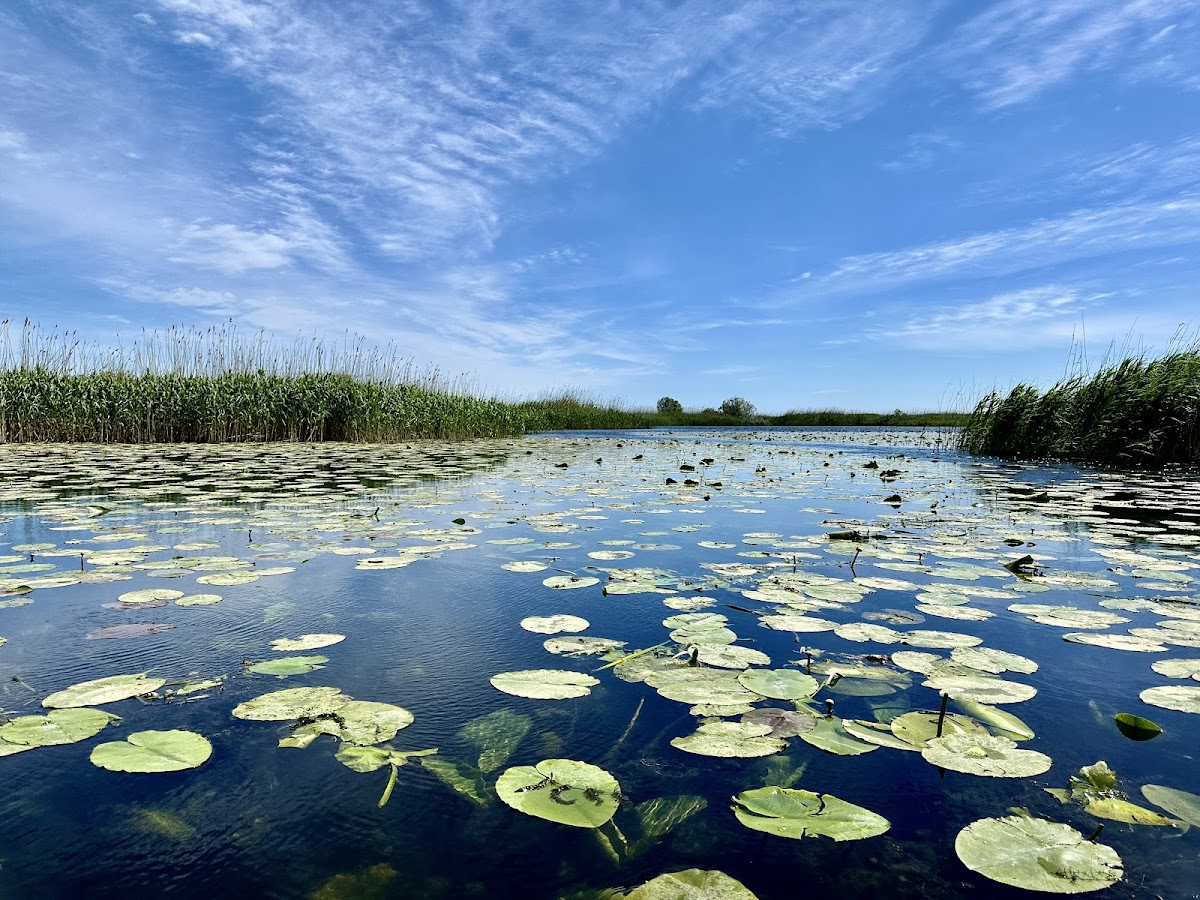 Danube Delta - foto 2