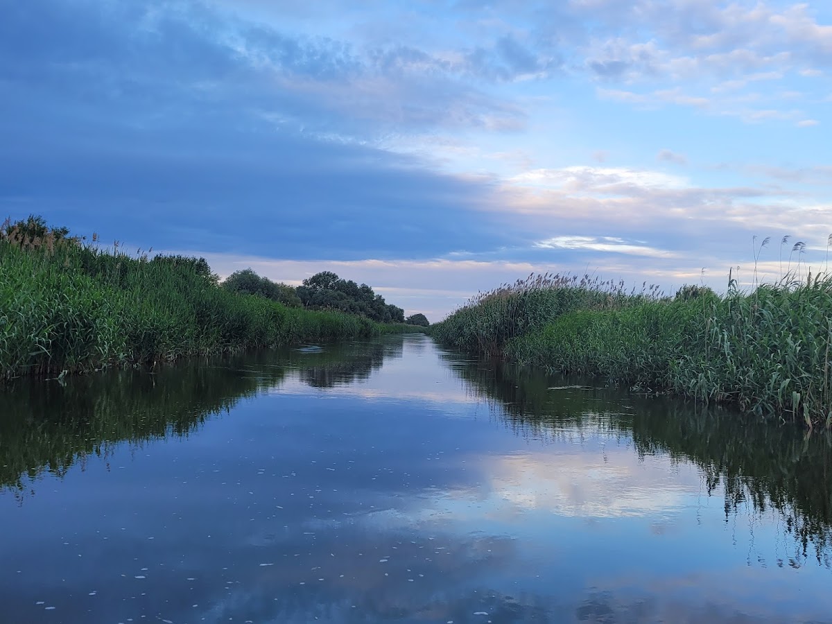 Danube Delta - foto 3
