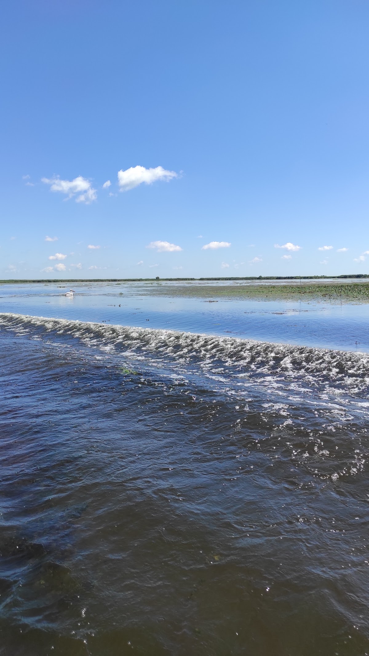 Danube Delta - foto 5