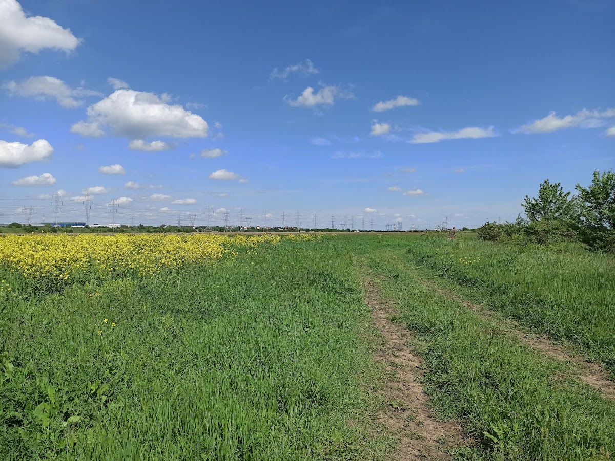 Delta Glina - foto 2