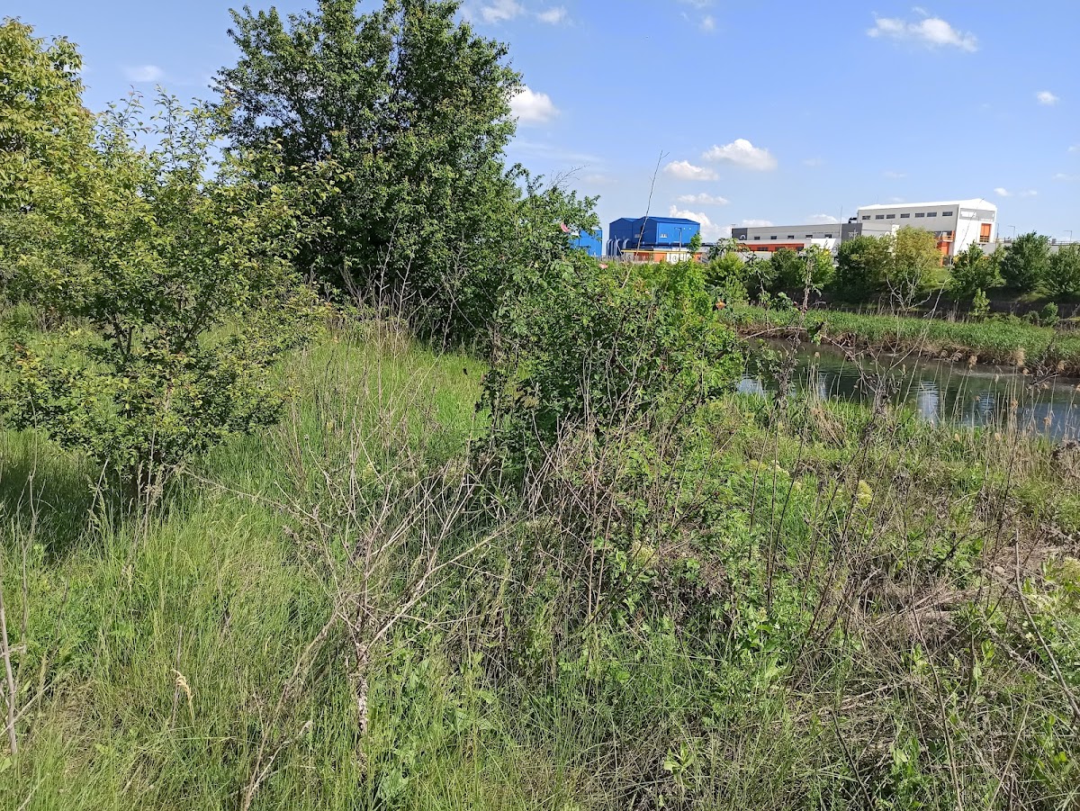 Delta Glina - foto 5