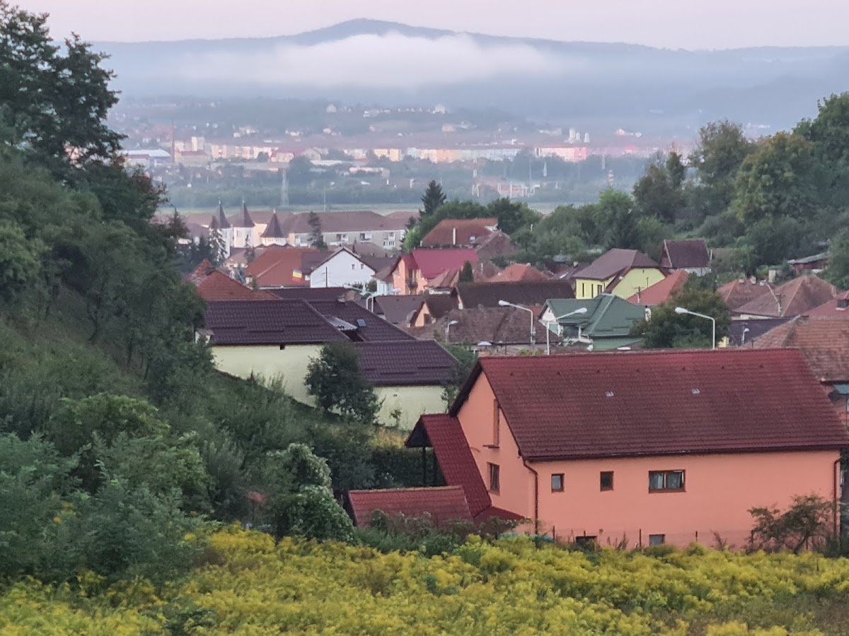 Dennis Hotel - foto 1