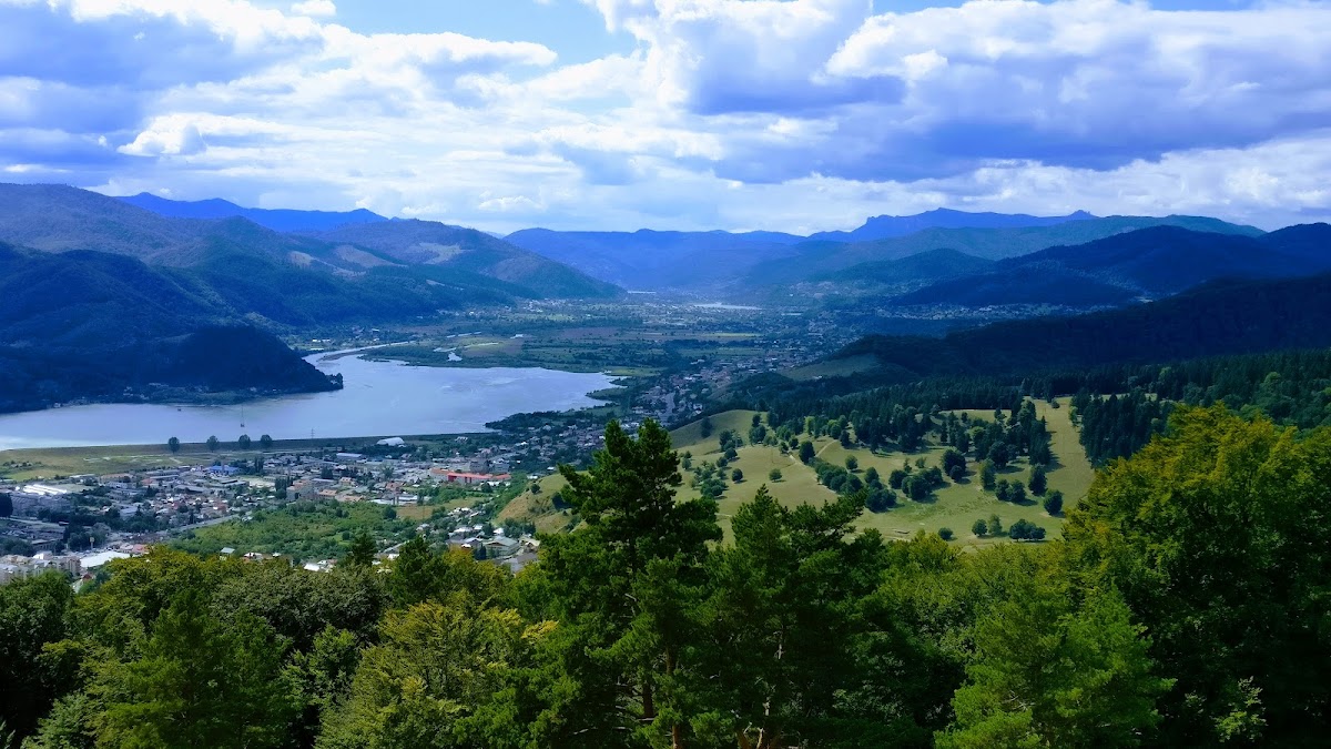 Depozitul Fosilifer Cozla - foto 2