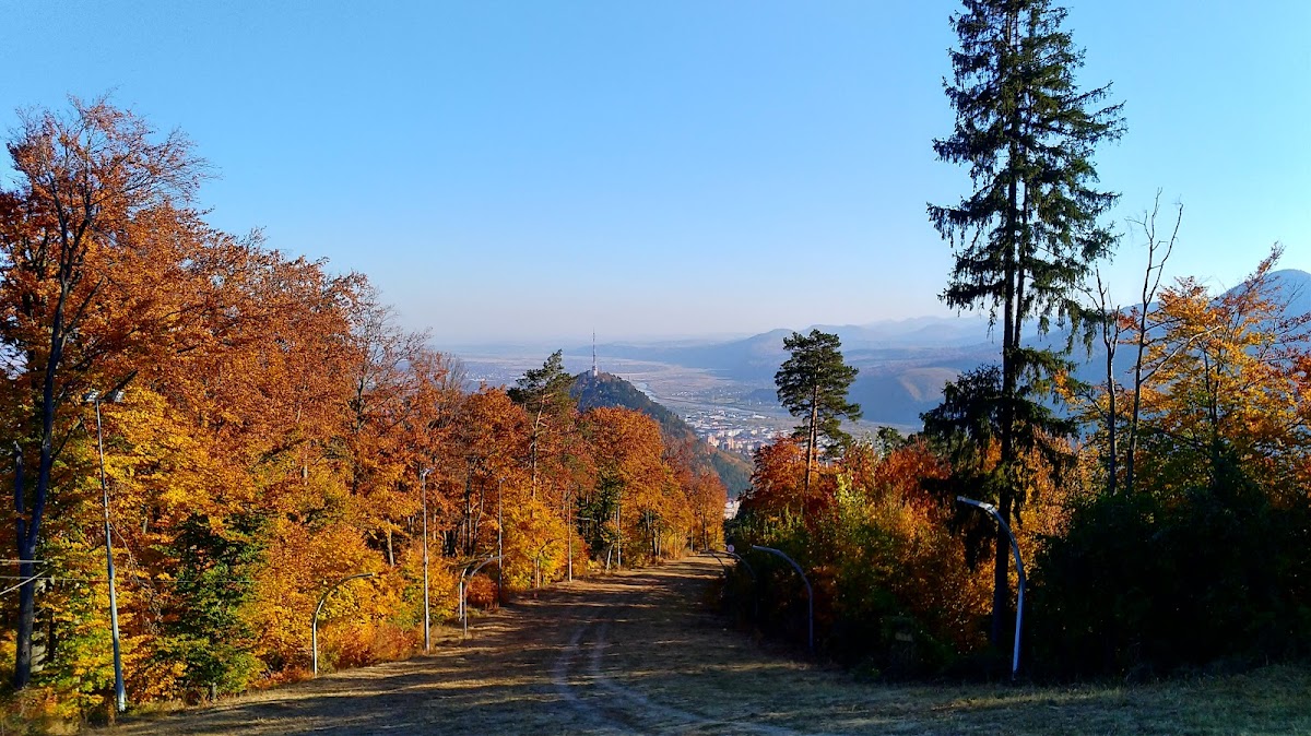 Depozitul Fosilifer Cozla - foto 4