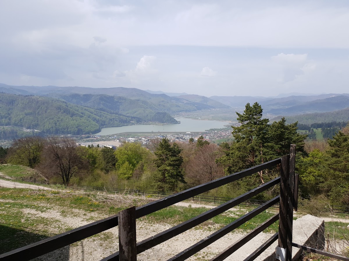 Depozitul Fosilifer Cozla - foto 5