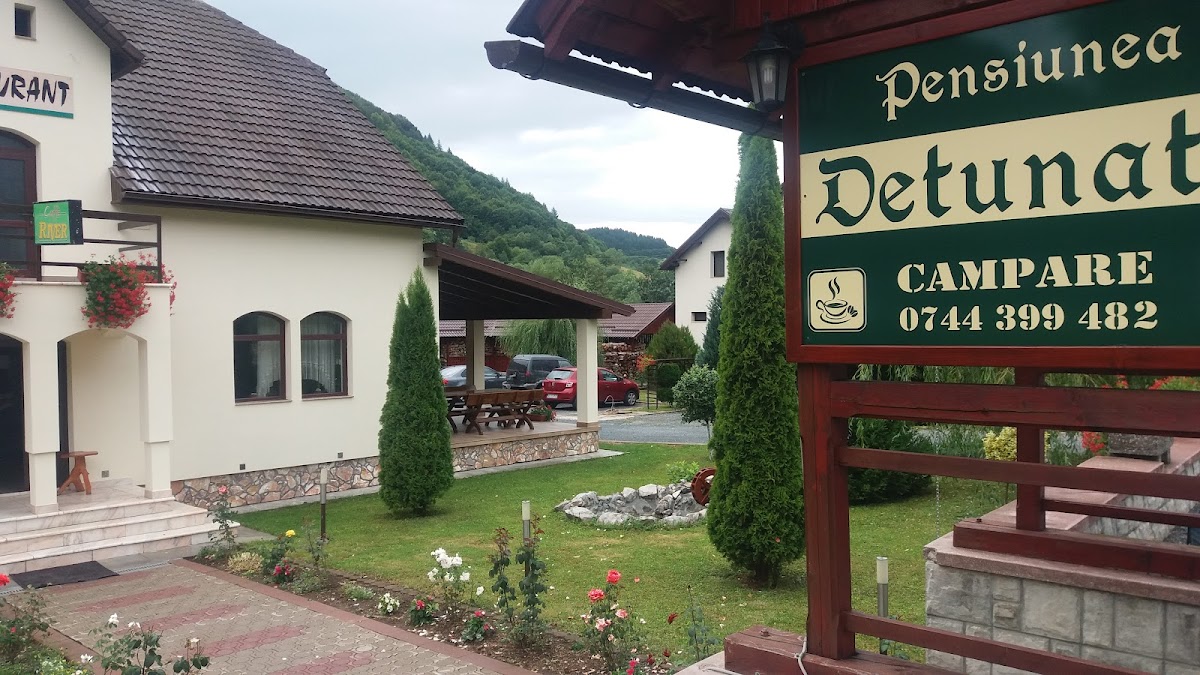 Detunata