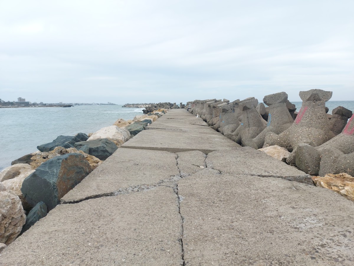 Digul Mangalia - foto 1