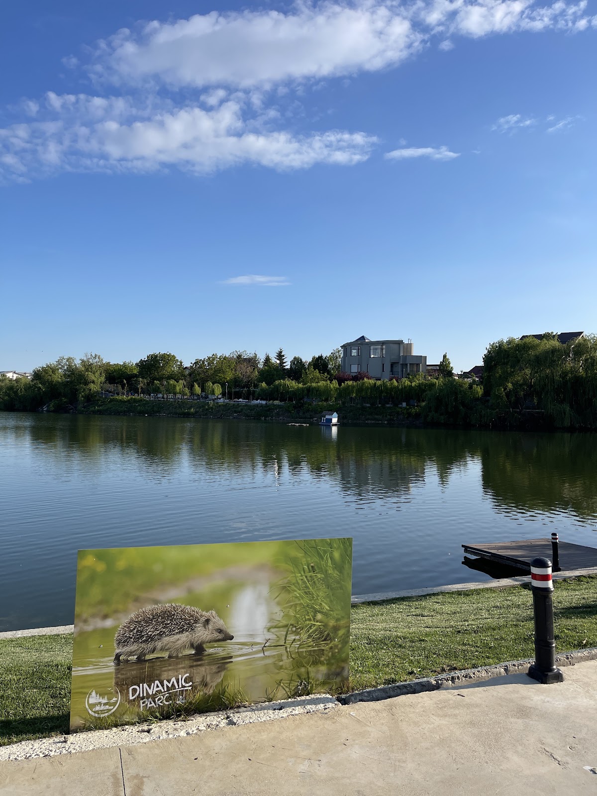 Dinamic Parc - foto 3