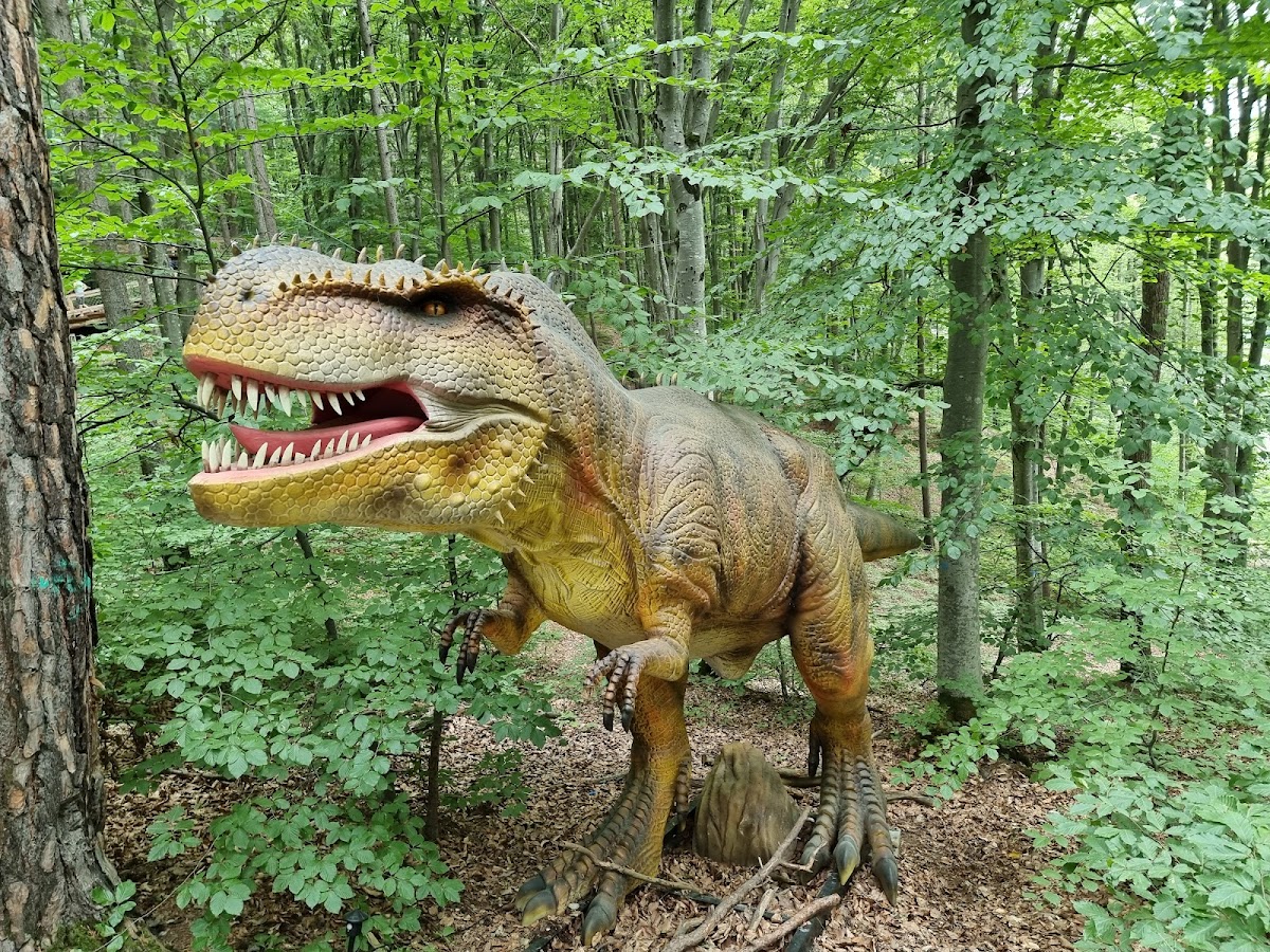 Dino Parc - foto 2