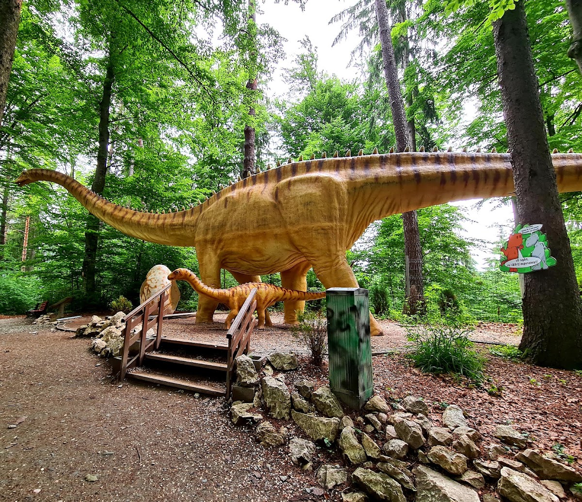 Dino Parc - foto 4