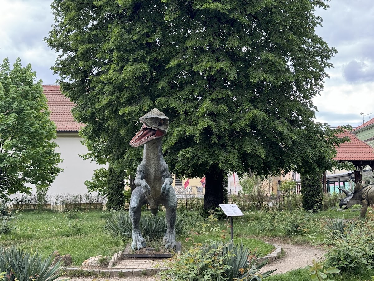 Dinosaurios en el Jardín - foto 3