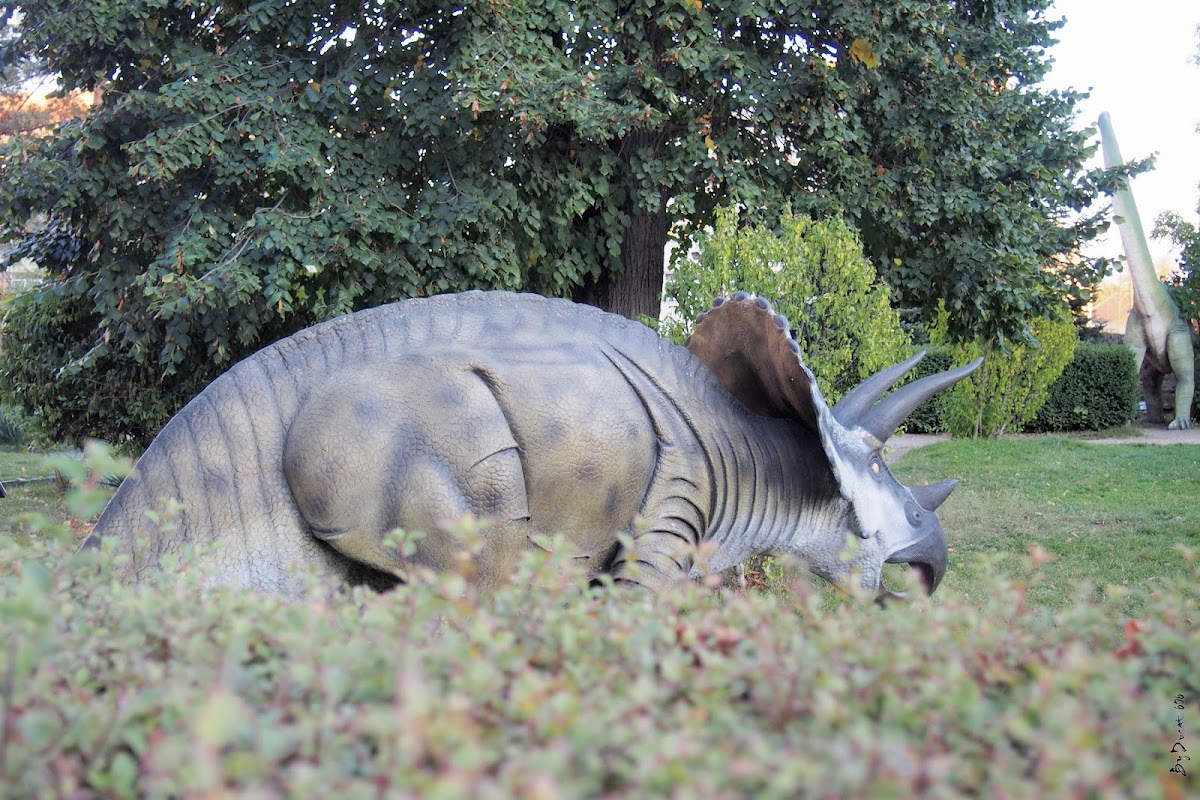 Dinosaurios en el Jardín - foto 4