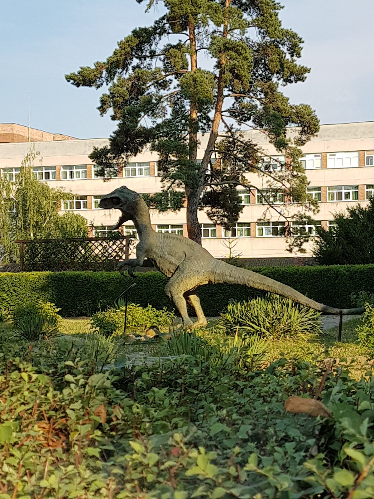 Dinosaurios en el Jardín - foto 5