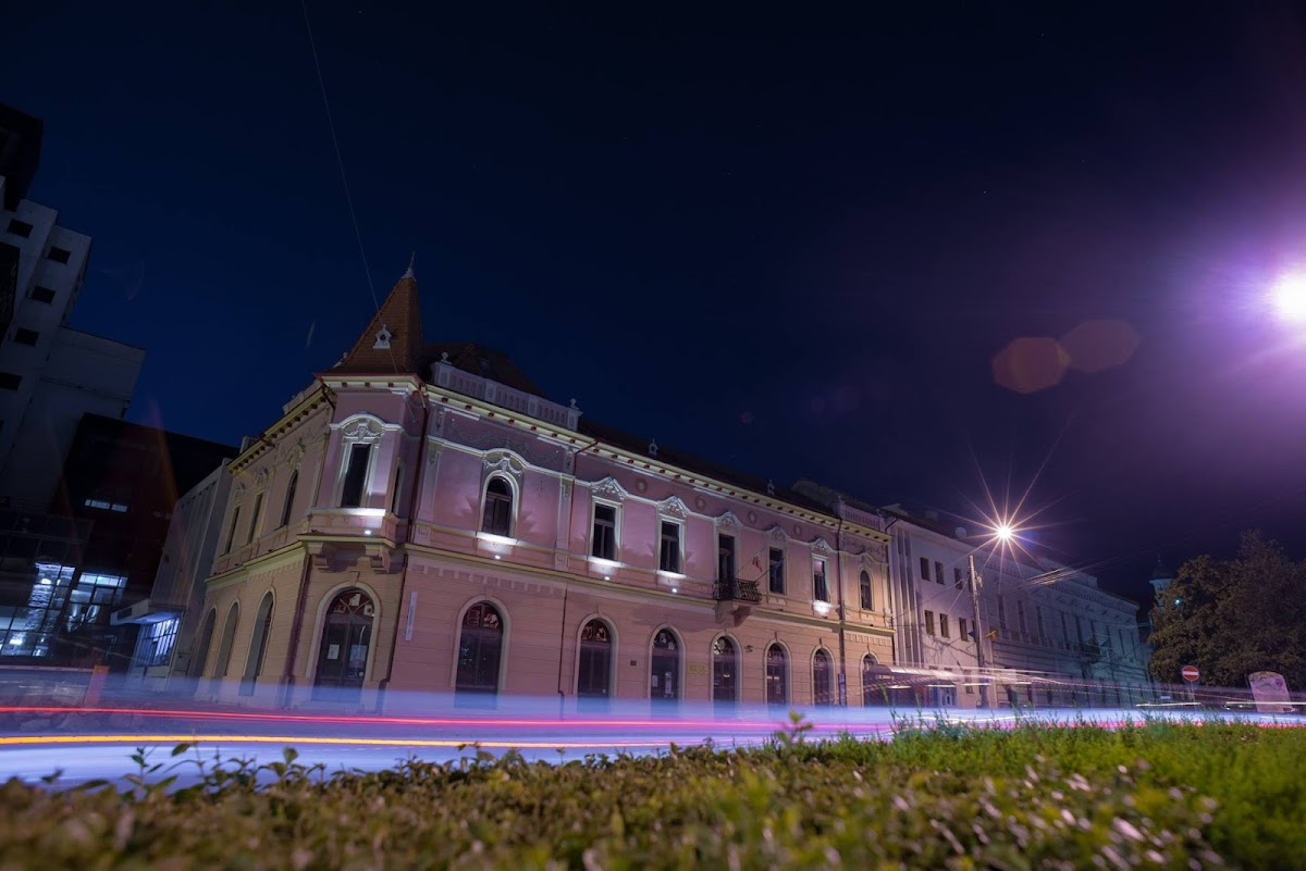 Direction Départementale de la Culture de Sălaj - foto 5