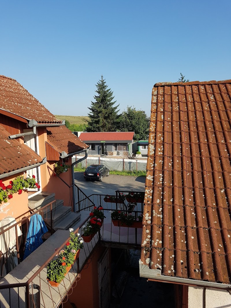 Discordia Pension Pizzeria, Târgu Mureş
