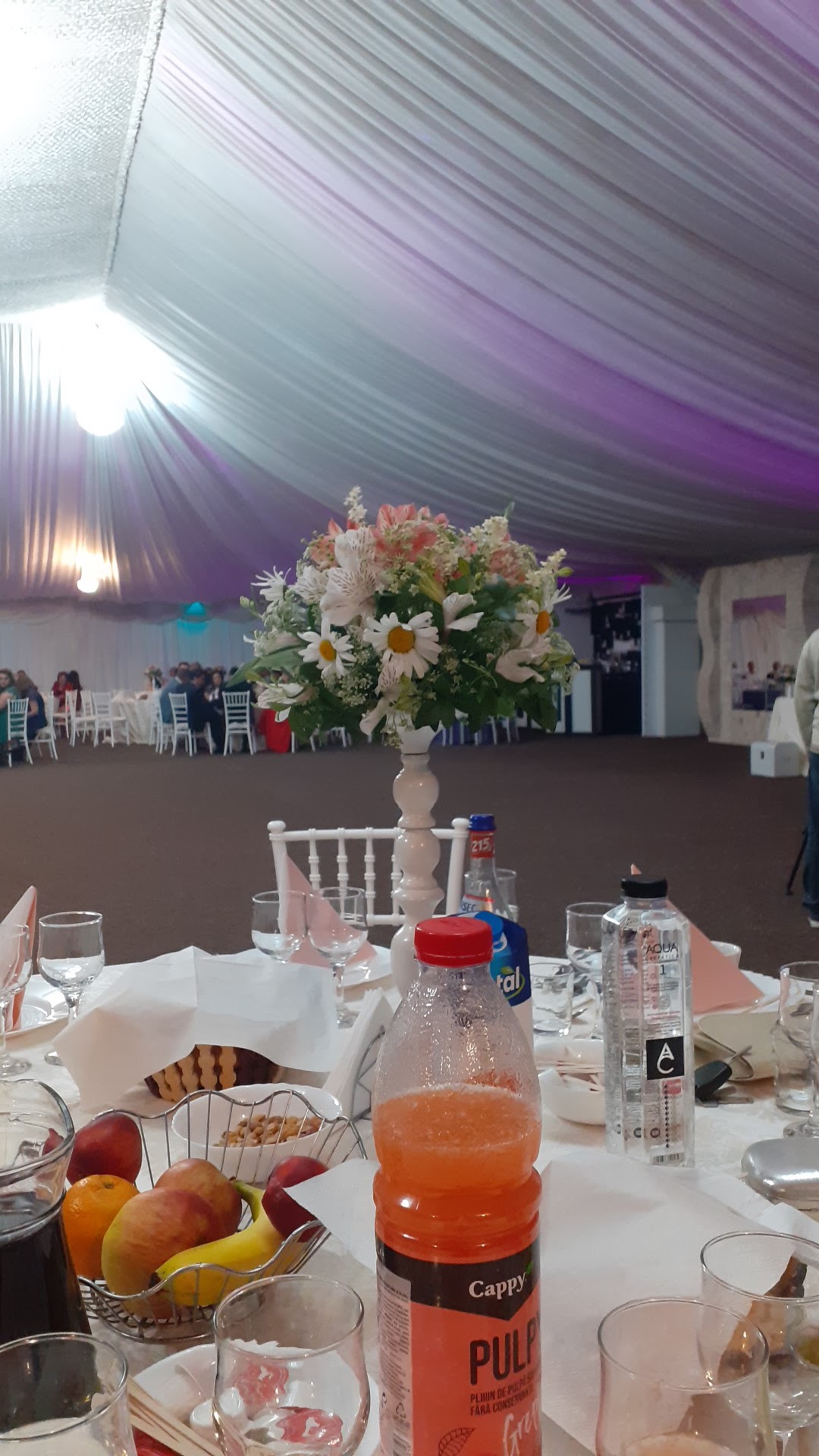 Domeniile Câmpeanu (Cort) - foto 5