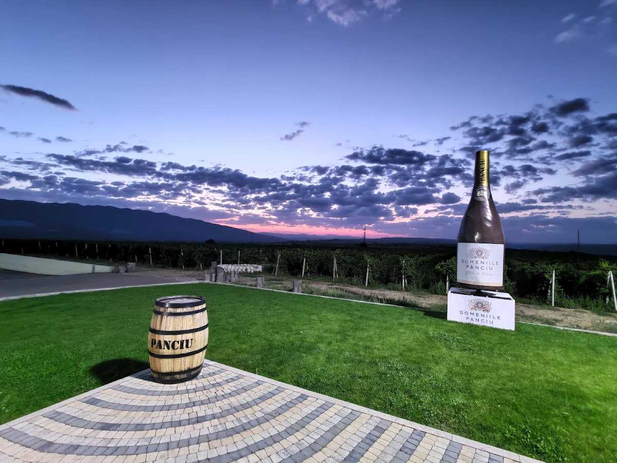 Domeniile Panciu Winery and Resort