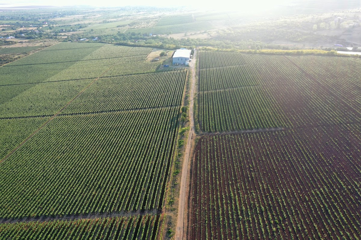 Domeniile Urlati - foto 1