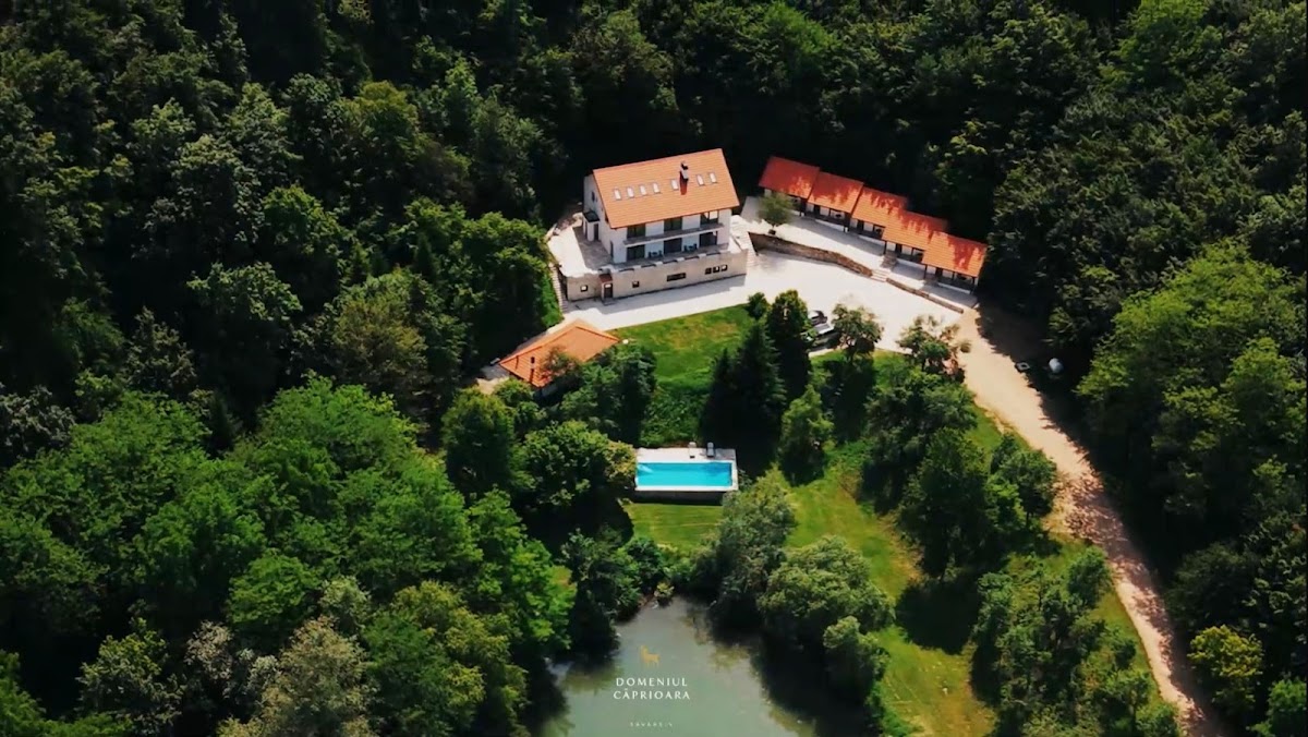 Căprioara