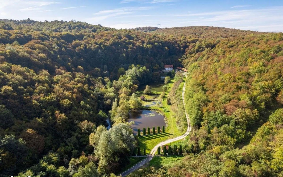 Domeniul Caprioara Savarsin