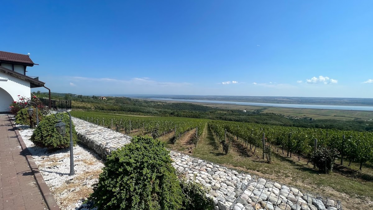 Domeniul Drăgași - foto 2