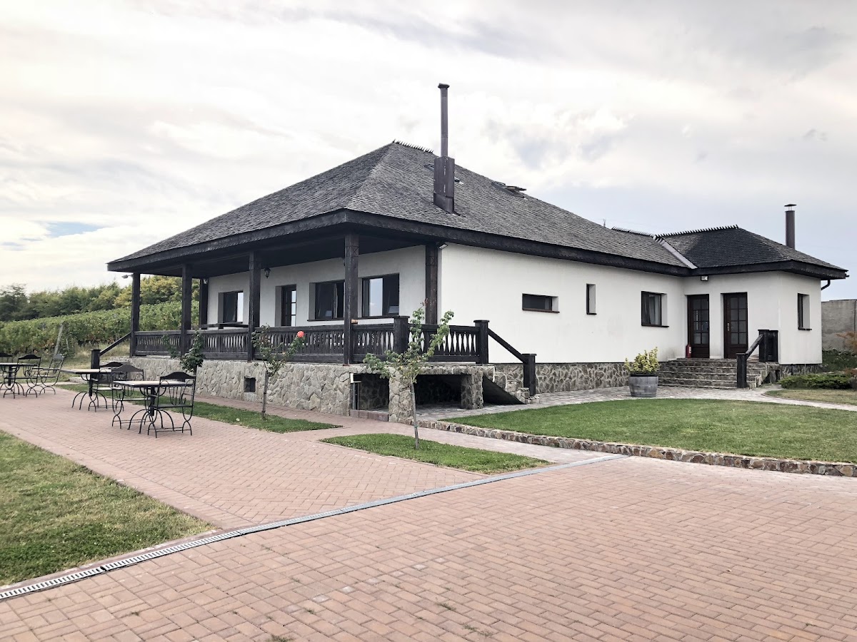 Domeniul Drăgași - foto 3