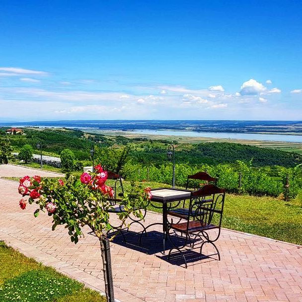 Domeniul Drăgași - foto 5