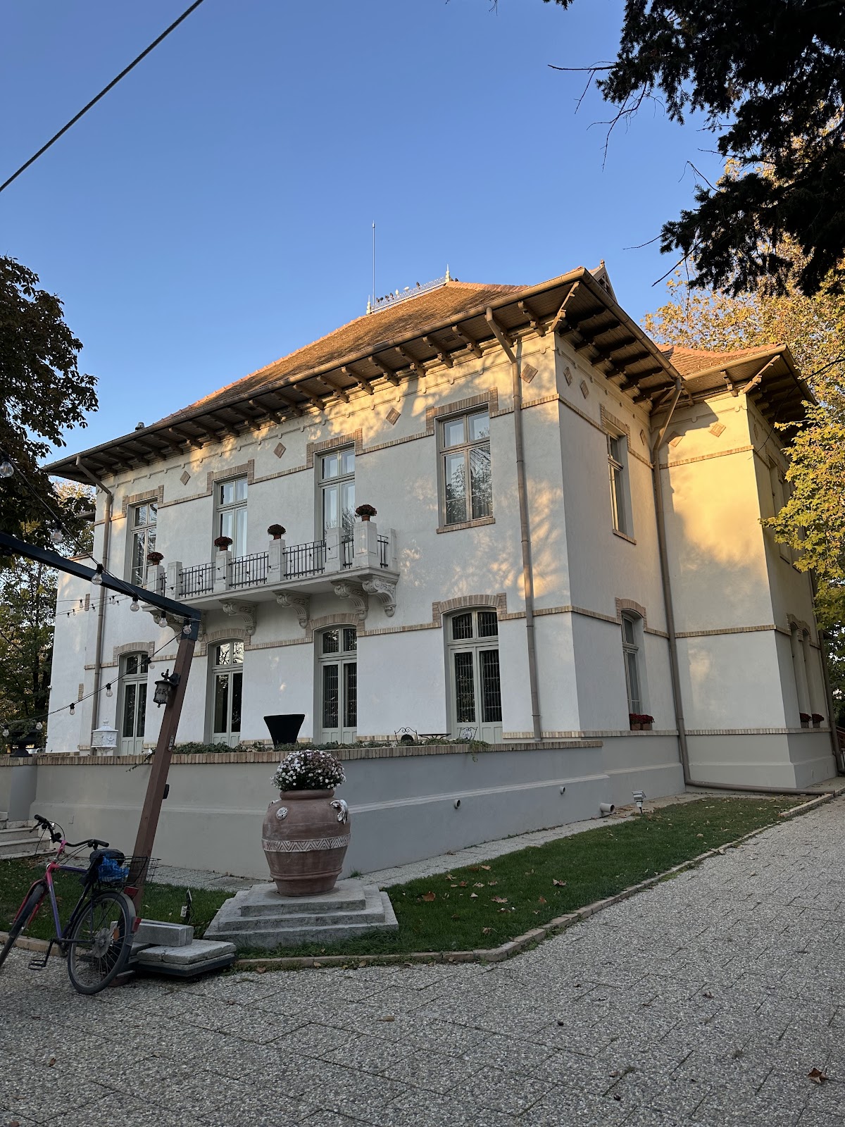 Domeniul Manasia - foto 3