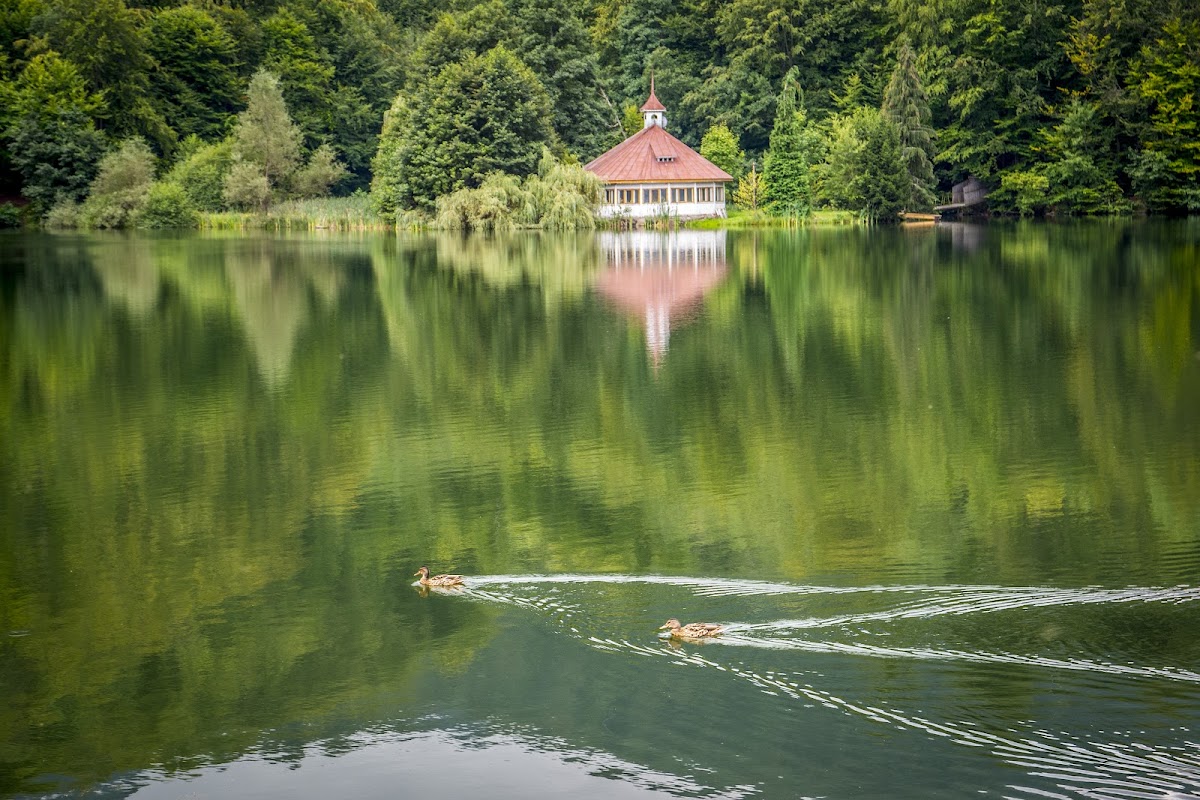 Domeniul Mogoșa - foto 1