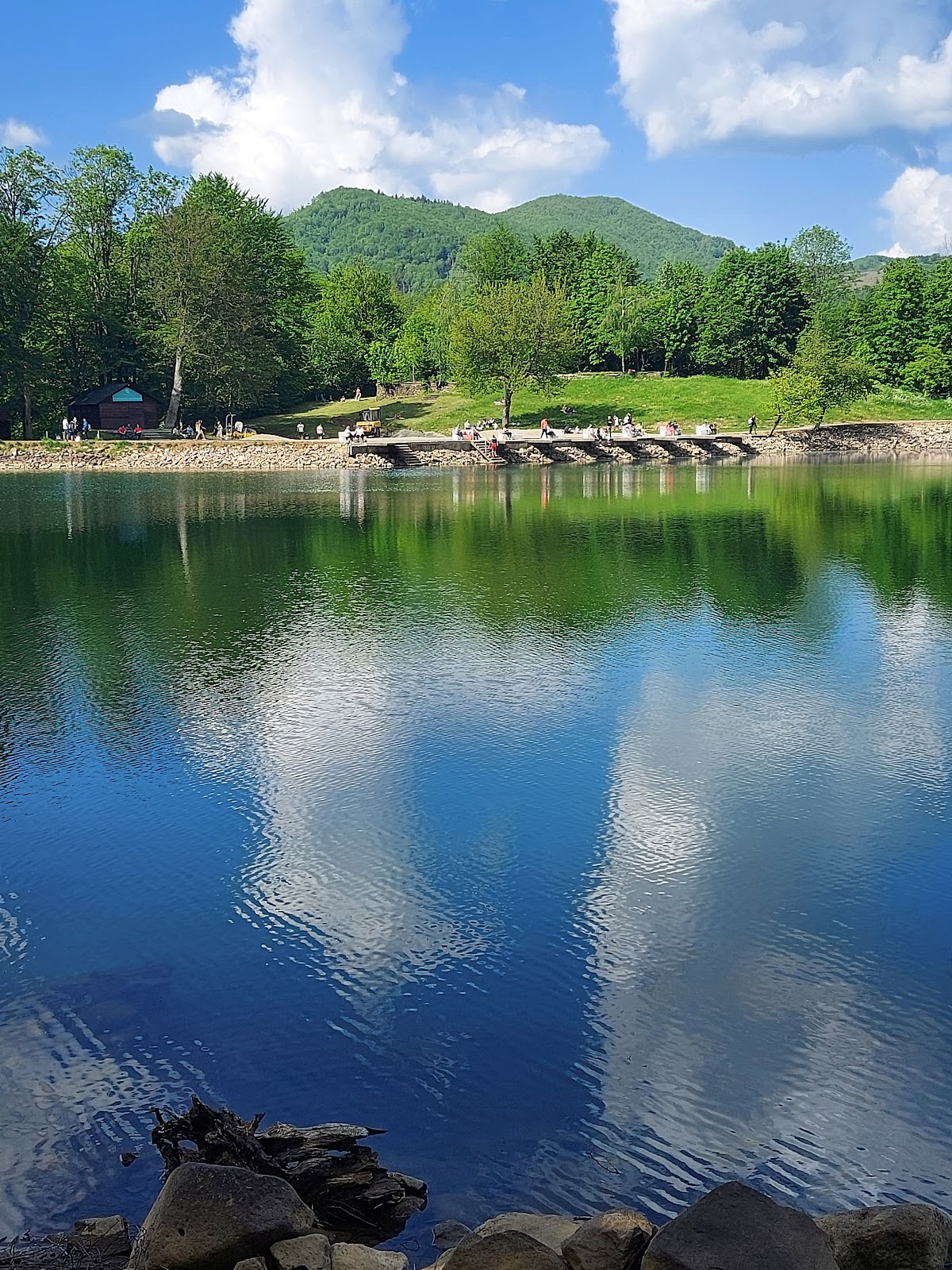 Domeniul Mogoșa - foto 3