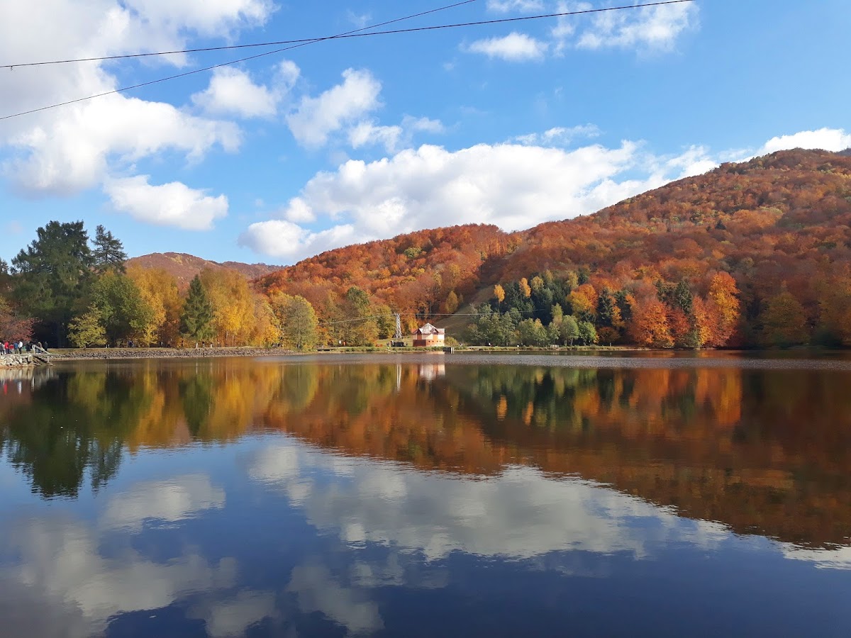 Domeniul Mogoșa - foto 4