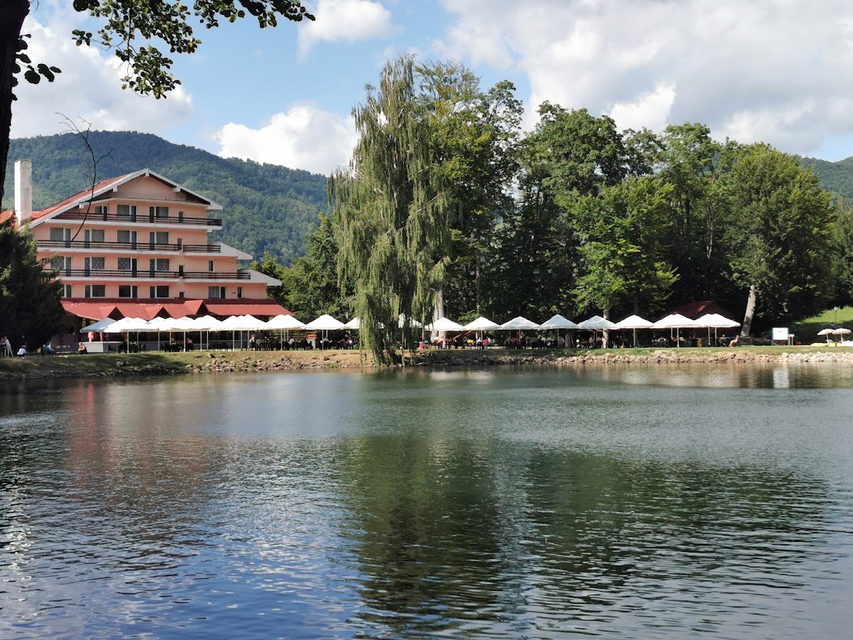 Domeniul Mogoșa - foto 5