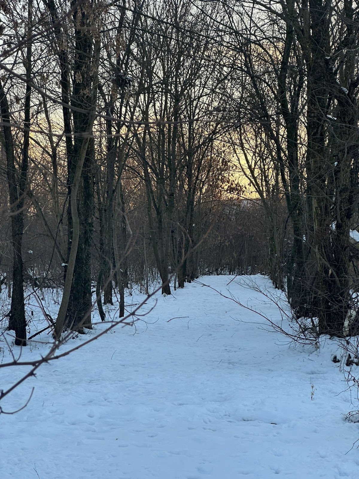 Domeniul Otetelesanu-Gradinari - foto 4
