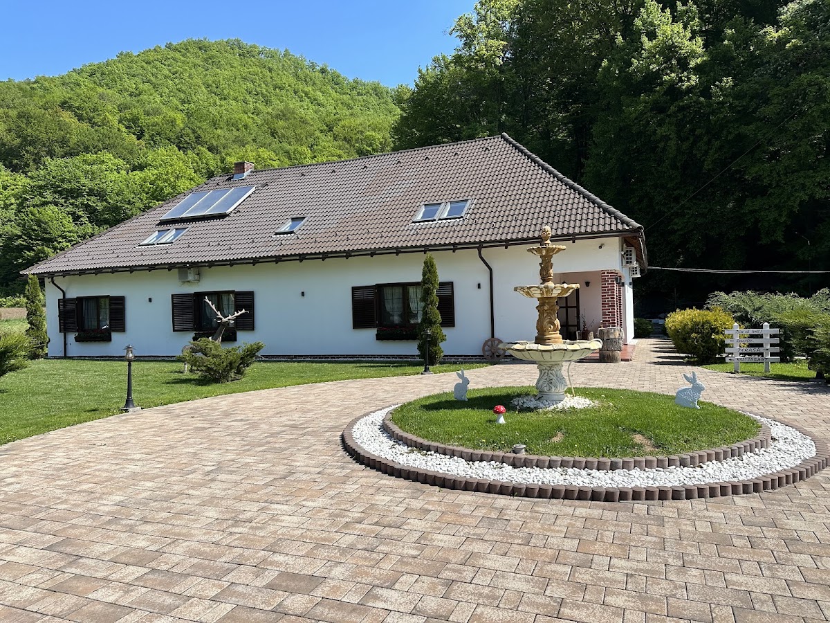 Domeniul Poiana Ursului - foto 4