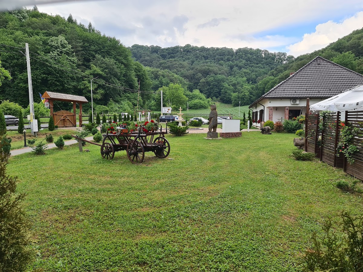 Domeniul Poiana Ursului - foto 5