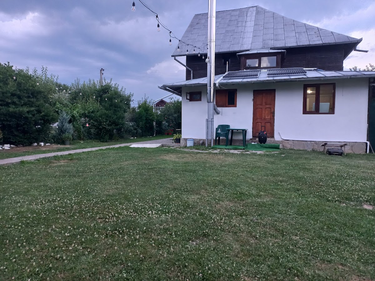 Dor de Aluniș