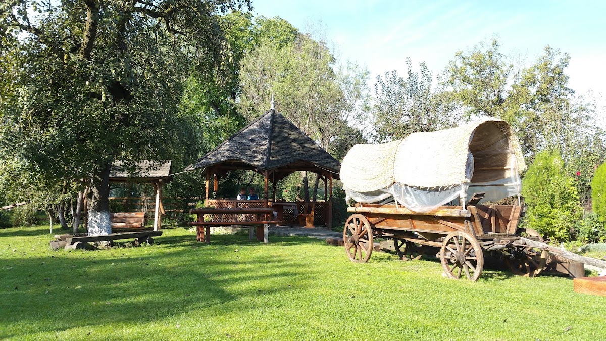Dor de Aluniș