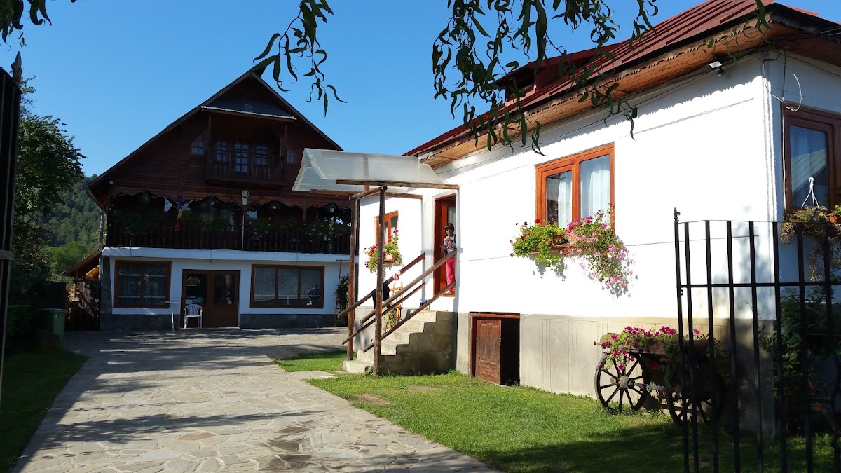 Dor de Aluniș